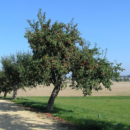 Fewo Muehlehof Konigshain Экстерьер фото
